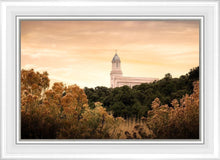 Load image into Gallery viewer, Cedar City Golden
