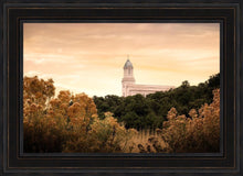 Load image into Gallery viewer, Cedar City Golden
