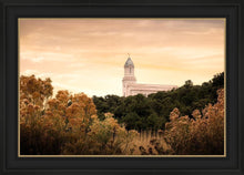 Load image into Gallery viewer, Cedar City Golden
