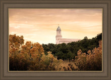 Load image into Gallery viewer, Cedar City Golden
