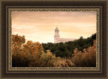 Load image into Gallery viewer, Cedar City Golden
