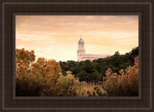 Load image into Gallery viewer, Cedar City Golden
