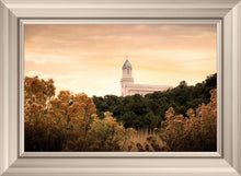 Load image into Gallery viewer, Cedar City Golden
