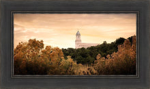 Load image into Gallery viewer, Cedar City Golden
