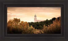 Load image into Gallery viewer, Cedar City Golden
