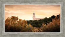 Load image into Gallery viewer, Cedar City Golden
