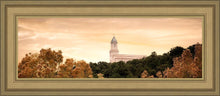 Load image into Gallery viewer, Cedar City Golden
