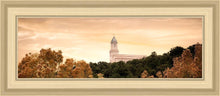Load image into Gallery viewer, Cedar City Golden
