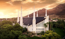Load image into Gallery viewer, Las Vegas Desert Oasis Aerial
