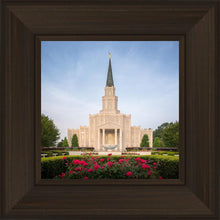 Load image into Gallery viewer, Houston Pastel Morning
