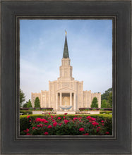 Load image into Gallery viewer, Houston Pastel Morning
