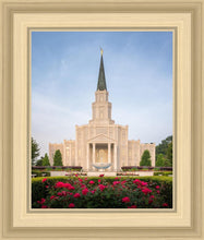 Load image into Gallery viewer, Houston Pastel Morning
