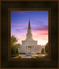 Load image into Gallery viewer, Houston Walk in the Light
