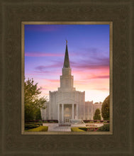 Load image into Gallery viewer, Houston Walk in the Light
