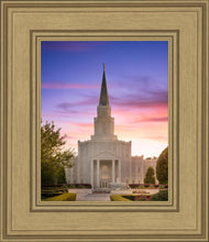 Load image into Gallery viewer, Houston Walk in the Light
