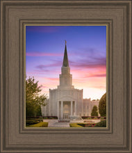 Load image into Gallery viewer, Houston Walk in the Light
