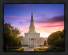 Load image into Gallery viewer, Houston Walk in the Light
