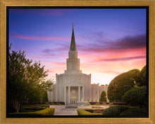 Load image into Gallery viewer, Houston Walk in the Light
