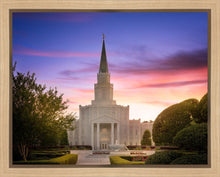 Load image into Gallery viewer, Houston Walk in the Light
