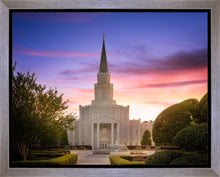 Load image into Gallery viewer, Houston Walk in the Light
