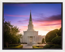 Load image into Gallery viewer, Houston Walk in the Light
