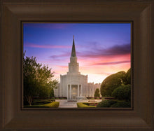 Load image into Gallery viewer, Houston Walk in the Light
