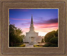 Load image into Gallery viewer, Houston Walk in the Light
