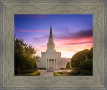 Load image into Gallery viewer, Houston Walk in the Light
