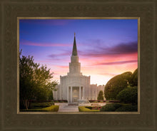 Load image into Gallery viewer, Houston Walk in the Light
