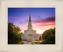 Load image into Gallery viewer, Houston Walk in the Light
