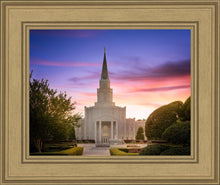 Load image into Gallery viewer, Houston Walk in the Light

