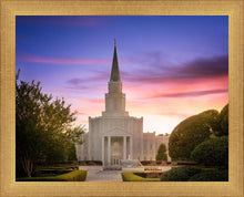 Load image into Gallery viewer, Houston Walk in the Light
