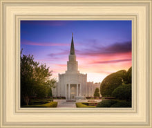 Load image into Gallery viewer, Houston Walk in the Light
