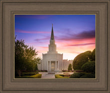 Load image into Gallery viewer, Houston Walk in the Light
