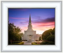 Load image into Gallery viewer, Houston Walk in the Light
