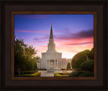 Load image into Gallery viewer, Houston Walk in the Light
