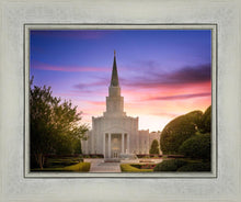 Load image into Gallery viewer, Houston Walk in the Light
