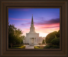 Load image into Gallery viewer, Houston Walk in the Light
