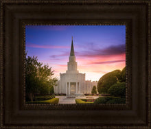 Load image into Gallery viewer, Houston Walk in the Light
