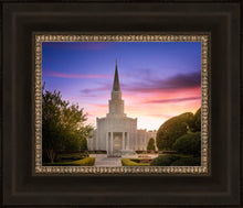 Load image into Gallery viewer, Houston Walk in the Light
