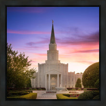 Load image into Gallery viewer, Houston Walk in the Light

