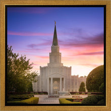 Load image into Gallery viewer, Houston Walk in the Light
