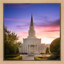 Load image into Gallery viewer, Houston Walk in the Light
