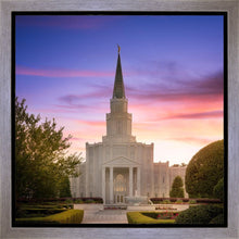 Load image into Gallery viewer, Houston Walk in the Light
