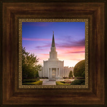 Load image into Gallery viewer, Houston Walk in the Light
