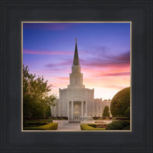 Load image into Gallery viewer, Houston Walk in the Light
