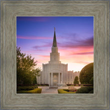 Load image into Gallery viewer, Houston Walk in the Light
