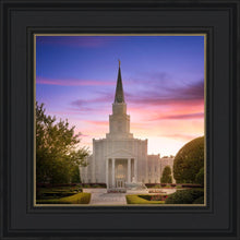 Load image into Gallery viewer, Houston Walk in the Light
