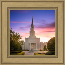 Load image into Gallery viewer, Houston Walk in the Light
