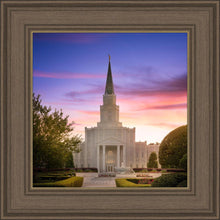 Load image into Gallery viewer, Houston Walk in the Light
